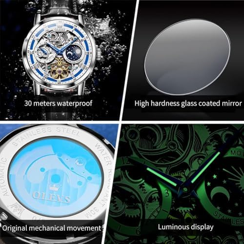 Men’s Automatic Skeleton Tourbillon Watch with Moon Phase & Leather Strap
